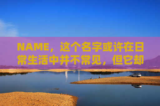 NAME，这个名字或许在日常生活中并不常见，但它却在某些领域里扮演着重要的角色。今天，让我们一起来探索这个名字背后的故事和意义
